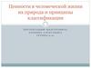 Ценности в человеческой жизни их природа и принципы классификации