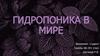 Гидропоника в мире