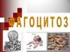 Из истории фагоцитоза