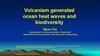 Volcanism generated ocean heat waves and biodiversity