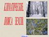 Климатические пояса и области Земли