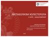 Метаболизм холестерола (2 курс)