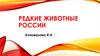 Редкие животные России
