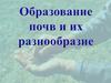 Образование почв и их разнообразие