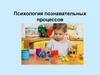 Психология познавательных процессов