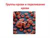 Группы крови и переливание крови