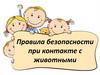 Правила безопасности при контакте с животными