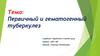 Первичный и гематогенный туберкулез. Патологическая анатомия