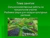 Сельскохозяйственные работы на пришкольном участке. Разбивка грядок для посадки культурных растений