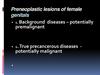 Preneoplastic lesions of female genitals