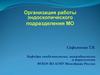 Организация работы эндоскопического подразделения медицинской организации