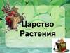 Царство Растения
