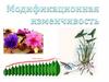 Модификационная изменчивость. Урок 6