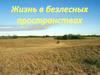 Жизнь в безлесных пространствах