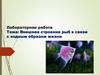 Внешнее строение рыб в связи с водным образом жизни