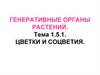 Генеративные органы растений. Цветки и соцветия. Тема 1.5.1