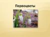 Первоцветы. Лес просыпается после долгого зимнего сна