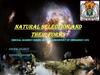 Natural selection and their forms