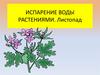 Испарение воды растениями. Листопад