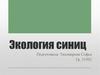 Экология синиц