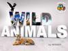 Wild animals