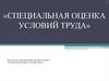 Специальная оценка условий труда