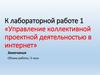 Управление коллективной проектной деятельностью в интернете