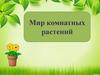 Мир комнатных растений