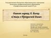 Ранняя лирика А. Блока. «Стихи о Прекрасной Даме»