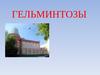 Гельминтозы