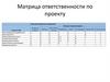 Матрица ответственности по проекту