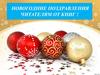 Новогодние поздравления читателям от книг!