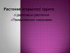 Цветковые растения, размножаемые семенами-. (5 класс)