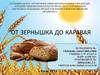 От зернышка до каравая. Доработанный вариант