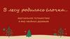 В лесу родилась елочка, или мир хвойных деревьев