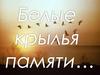 Белые крылья памяти