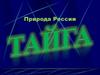 Природа России. Тайга