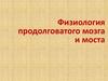 Физиология продолговатого мозга и моста