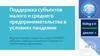 Поддержка субъектов малого и среднего предпринимательства в условиях пандемии