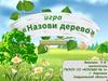 Игра "Назови дерево"