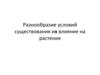 Разнообразие условий существования для жизни растений