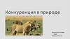 Конкуренция в природе