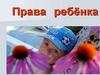 Право для детей