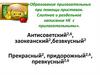 Образование прилагательных при помощи приставок. Слитное и раздельное написание НЕ с прилагательными