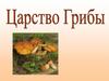Царство грибы
