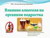 Влияние алкоголя на организм подростка