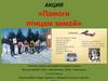 Помоги птицам зимой. Акция