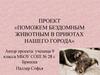 Поможем бездомным животным в приютах нашего города