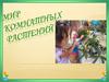 Мир комнатных растений