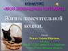 Жизнь замечательной кошки. Мой домашний питомец